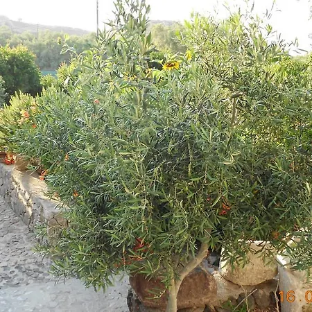 Apartment Sea Bliss Karterados (Santorini)