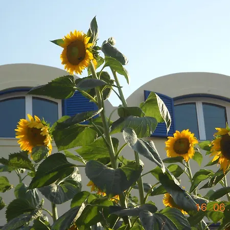 Appartement Sea Bliss