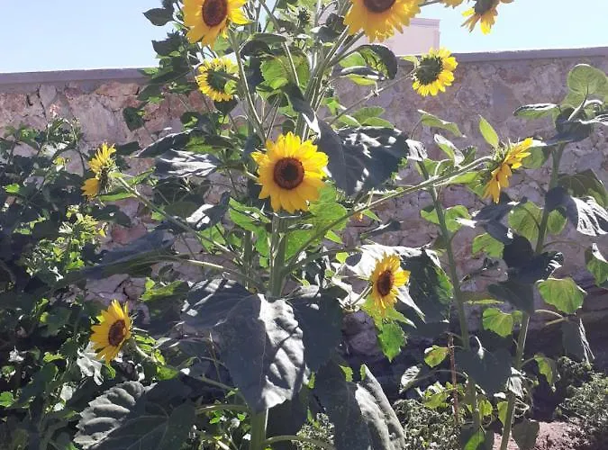 Sea Bliss Appartement *