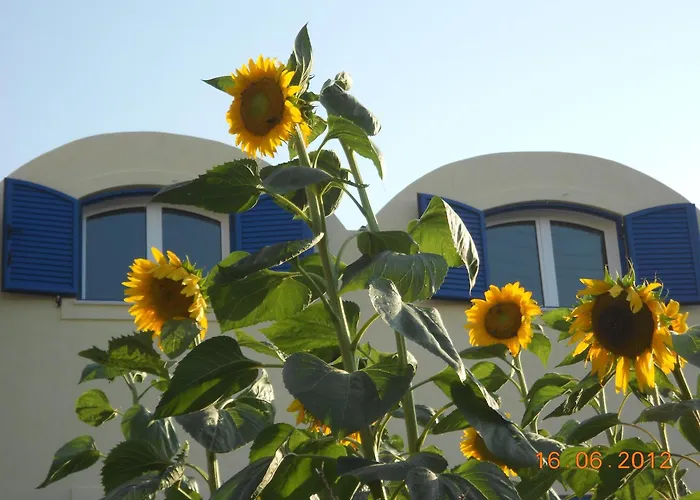 Appartement Sea Bliss