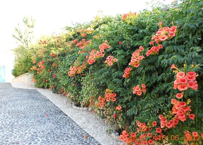 Sea Bliss Appartement